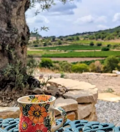 With Private Pool And Panoramic View Villa Félines-Minervois