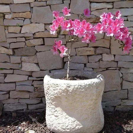 Villa With Private Pool And Panoramic View *