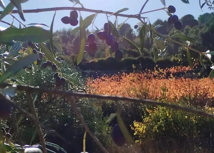 Villa With Private Pool And Panoramic View