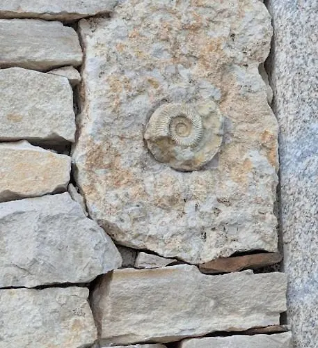 With Private Pool And Panoramic View Villa